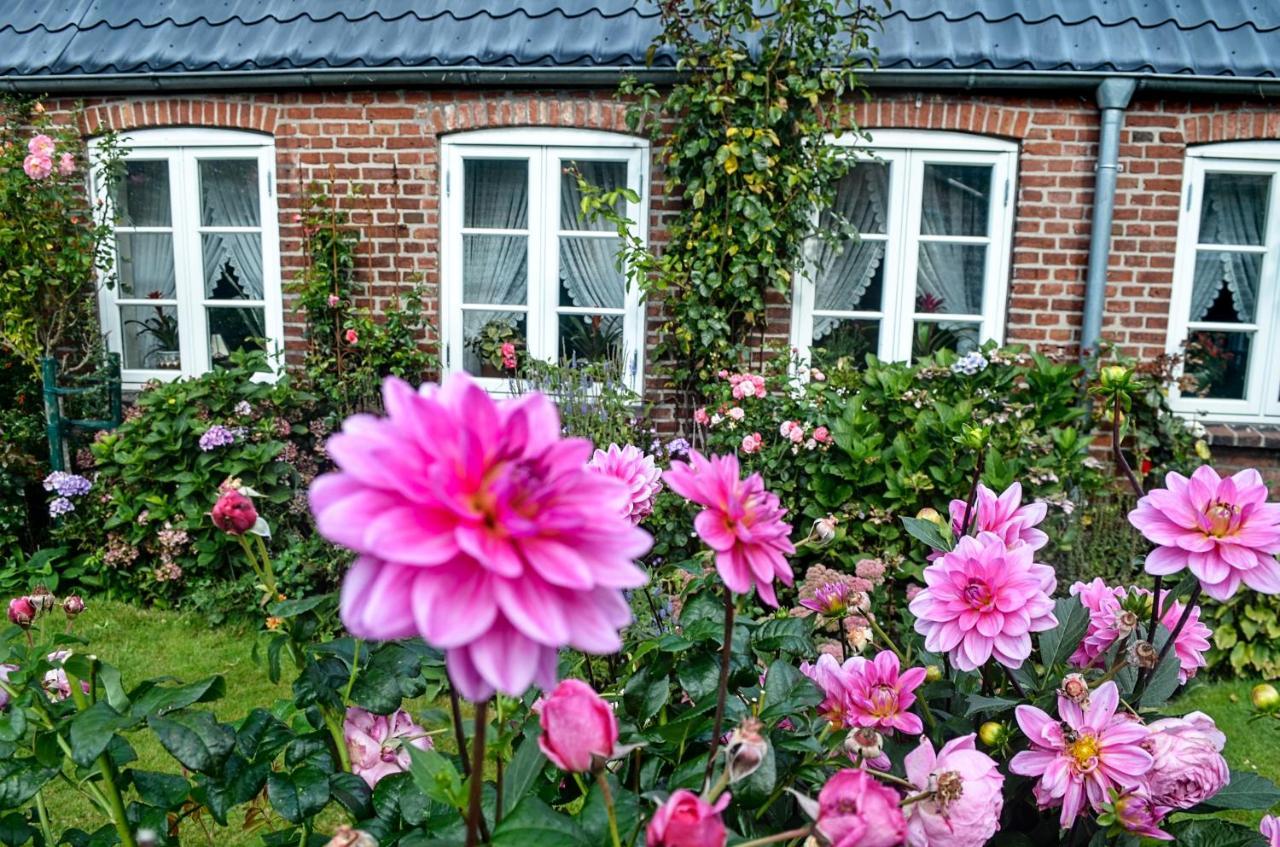 Hof Diederichs Bohmstedt Buitenkant foto